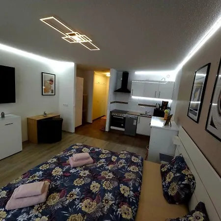 3-zimmer In Centrum Apartment *